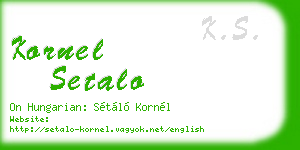 kornel setalo business card